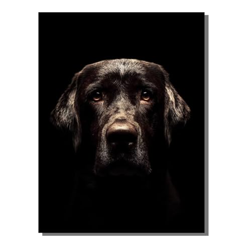 BEIJUYHU Diamond Painting Tier Diamond Painting Erwachsene Groß XXL 60x80 cm Hund Full drill Daiment Malerei Erwachsene, 5D Diamant Art Mosaic Stickerei Bastelset Geschenk für Home Decor BJHF533 BEIJUYHU Diamond Painting Tier Diamond Painting Erwachsene Groß XXL 60x80 cm Hund Full drill Daiment Malerei Erwachsene, 5D Diamant Art Mosaic Stickerei Bastelset Geschenk für Home Decor BJHF533 von BEIJUYHU