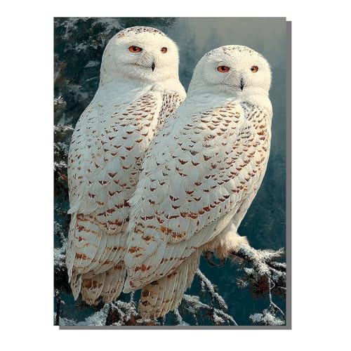 Diamond Painting Set Eule Diamant Painting Bilder Erwachsene Groß DlY Art Kinder Full Drill Diamond Malerei Vogel 5D Diamant Kunst Malerei Stickerei Mosaic Bastelset Home Decor 40x50cm BJHF400 Diamond Painting Set Eule Diamant Painting Bilder Erwachsene Groß DlY Art Kinder Full Drill Diamond Malerei Vogel 5D Diamant Kunst Malerei Stickerei Mosaic Bastelset Home Decor 40x50cm BJHF400 von BEIJUYHU