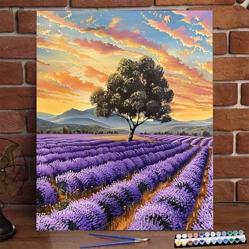 Malen Nach Zahlen Erwachsene Kinder Lavendel, Malen Nach Zahlen DIY Handgemalt Ölgemälde Kit für Anfänger und Frauen Baum, Malen-Nach-Zahlen mit Rahmen Leinwand Pinsel und Acrylfarbe 50x65cm T-Z Malen Nach Zahlen Erwachsene Kinder Lavendel, Malen Nach Zahlen DIY Handgemalt Ölgemälde Kit für Anfänger und Frauen Baum, Malen-Nach-Zahlen mit Rahmen Leinwand Pinsel und Acrylfarbe 50x65cm T-Z von BEIJUYHU