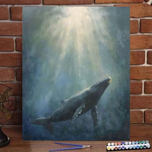 Wal Malen Nach Zahlen Erwachsene, Paint by Numbers Adult Anfänger Kreativ Set für, Heimwerk Malen Nach Zahlen Kinder Tier mit Rahmen, Pinsel und Acrylfarbe Als Geschenk für Wanddeko 40X50 CM P-7 von BEIJUYHU