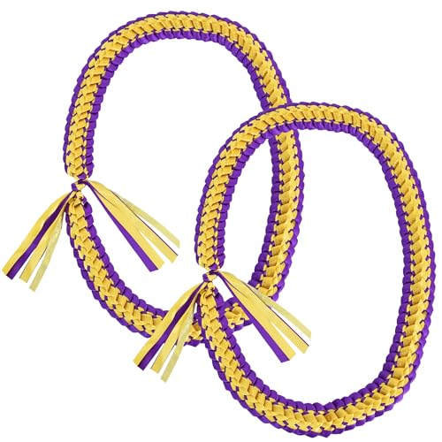 BEISHIDA 2 Stück Abschlusskette, Folienband 2024, Abschlussband, Abschlussfeier, Halskette, Klasse 2024, Abschluss-Geschenk, geflochtene Halskette für Männer und Frauen von BEISHIDA