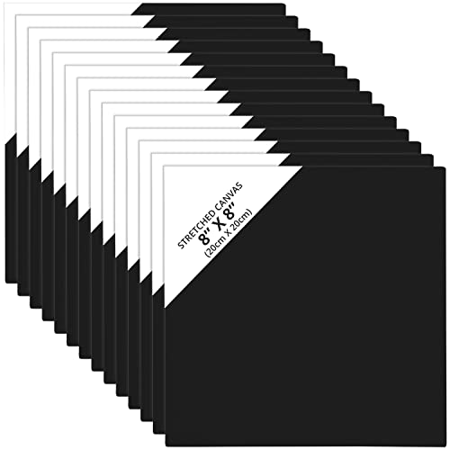 Belle Vous 14 Stk Leere Schwarze Leinwände zum Bemalen – 20 x 20 cm – Vorgespannte Kleine Leinwand – Schwarze Leinwand für Acrylfarben, Ölgemälde, Skizzen und Zeichnungen von BELLE VOUS