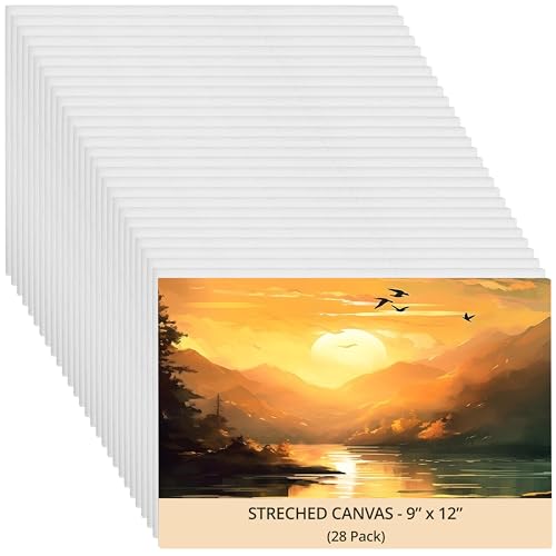Belle Vous 28 Stk Leere Leinwände zum Bemalen – 20 x 30 cm – Vorgespannte Kleine Leinwand – Leinwand für Acrylfarben, Ölgemälde, Skizzen und Zeichnungen Belle Vous 28 Stk Leere Leinwände zum Bemalen – 20 x 30 cm – Vorgespannte Kleine Leinwand – Leinwand für Acrylfarben, Ölgemälde, Skizzen und Zeichnungen von BELLE VOUS