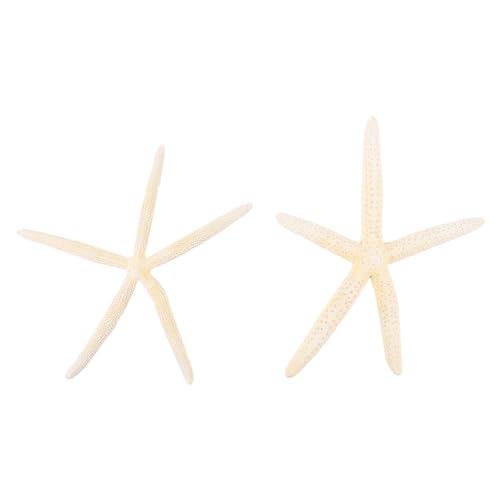 BELLIFFY 2stücke Natürliche Seesterne Dekoration Für Hochzeiten Und Strandpartys Echte Meeresstern Ornamente Für Tischdeko Und Fotorequisiten BELLIFFY 2stücke Natürliche Seesterne Dekoration Für Hochzeiten Und Strandpartys Echte Meeresstern Ornamente Für Tischdeko Und Fotorequisiten von BELLIFFY