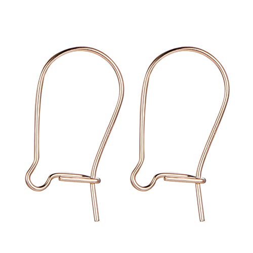 BENECREAT 10 STUCKE 14K Gelbgold gefullt hypoallergene Ohrhaken Nierenohrdrahte baumeln Ohrring Erkenntnisse fur die DIY-Schmuckherstellung - 14.5x8mm BENECREAT 10 STUCKE 14K Gelbgold gefullt hypoallergene Ohrhaken Nierenohrdrahte baumeln Ohrring Erkenntnisse fur die DIY-Schmuckherstellung - 14.5x8mm von BENECREAT
