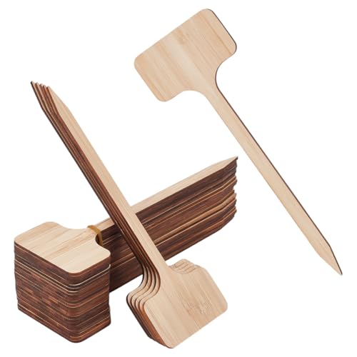 BENECREAT 50 Stück Bambus Pflanzenetiketten Große Pflanzenetiketten Identifikationseinsätze Pflanzenmarkierungen Für Topfpflanzen Im Kindergarten Kräuter Blumen Und Gemüse 178 x 59mm BENECREAT 50 Stück Bambus Pflanzenetiketten Große Pflanzenetiketten Identifikationseinsätze Pflanzenmarkierungen Für Topfpflanzen Im Kindergarten Kräuter Blumen Und Gemüse 178 x 59mm von BENECREAT