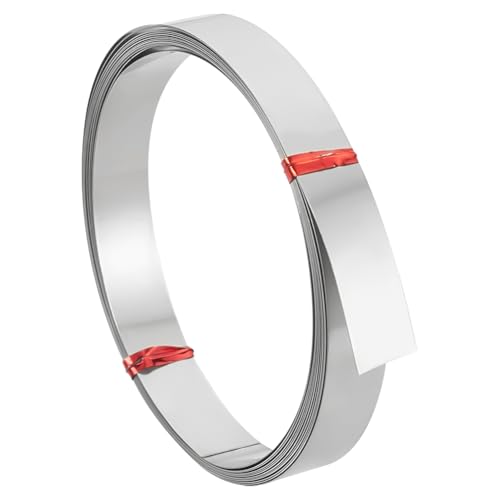 BENECREAT Platinfarbener Flachdraht, 12mm breit, 0.25mm dick, 6m lang, für Schmuckherstellung, Kunsthandwerk, Basteln, Stempeln, Gravieren, Part Number: KK-WH0084-25E-EU von BENECREAT