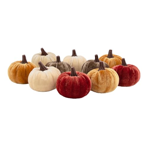 Benross 85109 Samt-Kürbis-Deko-Set, verschiedene Herbstfarben, Mini-Kürbisse, 6 cm, dekorative Kürbisse für gemütliche Herbst-, Halloween- und Thanksgiving-Displays, 10 Stück Benross 85109 Samt-Kürbis-Deko-Set, verschiedene Herbstfarben, Mini-Kürbisse, 6 cm, dekorative Kürbisse für gemütliche Herbst-, Halloween- und Thanksgiving-Displays, 10 Stück von BENROSS