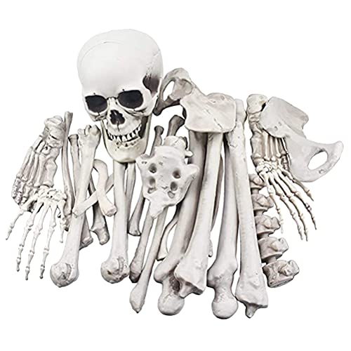 BESPORTBLE 1 Pack Halloween Skeleton Bones Dekoration Friedhof Humans Bones Dekoration Halloween Dekoration Halloween Party von BESPORTBLE