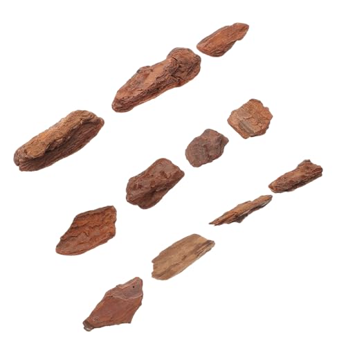 BESPORTBLE 1 Packung Miniatur Tree Bark Diorama Materialien Natürliche Trockene Rinde für Mikro Landschaften Fairy Gardens und Modellbau Pinienrinde für Authentische Küstensimulationen von BESPORTBLE