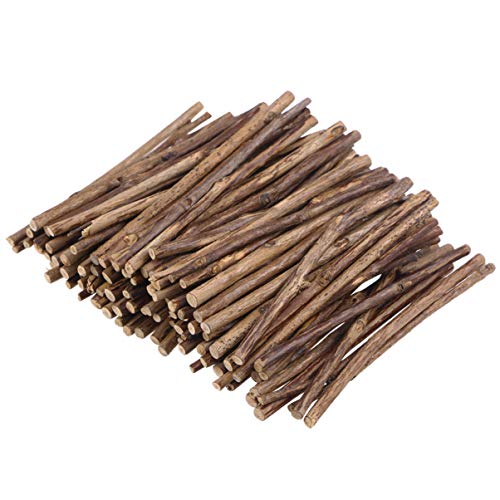 BESPORTBLE 100 Stück 10CM Holzstäbchen zum Basteln Holzsticks Holz Log Sticks Holzstiele für DIY Basteln Kunst Handwerk Heimwerker Foto Requisiten (Holzfarbe) von BESPORTBLE