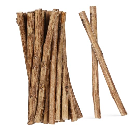BESPORTBLE 50 Stück Holzstäbe Aus Birkenholz - Bastelstöcke Für Kreative DIY-Projekte Ideal Für Und Erwachsene Perfekt Zum Basteln Dekorieren Und Gestalten Von Individuellen Kunstwerken BESPORTBLE 50 Stück Holzstäbe Aus Birkenholz - Bastelstöcke Für Kreative DIY-Projekte Ideal Für Und Erwachsene Perfekt Zum Basteln Dekorieren Und Gestalten Von Individuellen Kunstwerken von BESPORTBLE