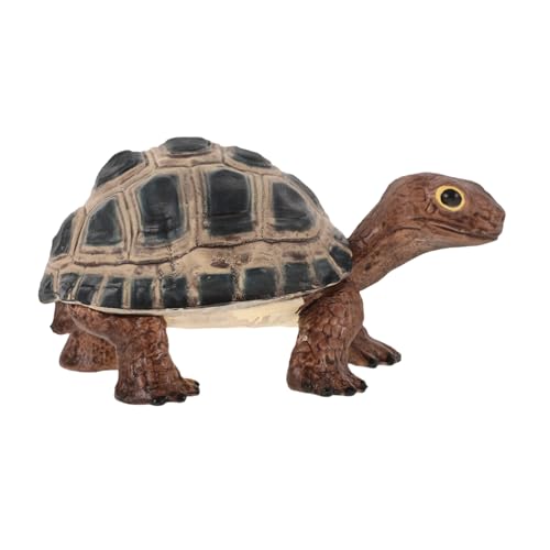 BESPORTBLE Realistische Schildkrötenfigur Aus Dekoratives Modell Für Erwachsene Schulprojekte Und Tischdekoration Fördert Lernspiel Und Naturverständnis von BESPORTBLE