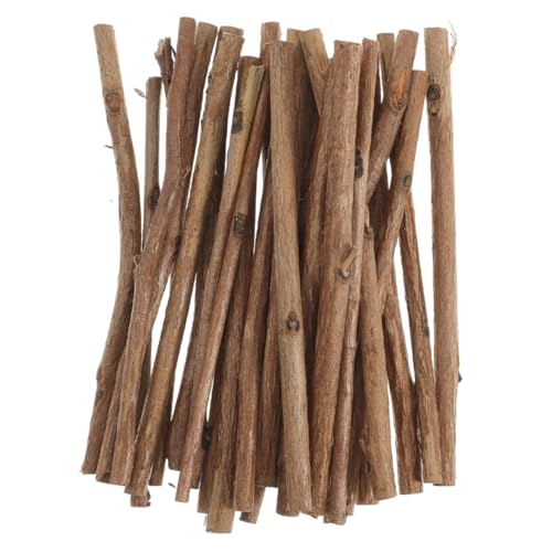 BESTOYARD 50 Stück Holzstäbchen für Diy Bastelprojekte Natürliche Holzstäbe Vielseitig Einsetzbar für Blumenarrangements Fotodekoration Kreative Kunstprojekte von BESTOYARD