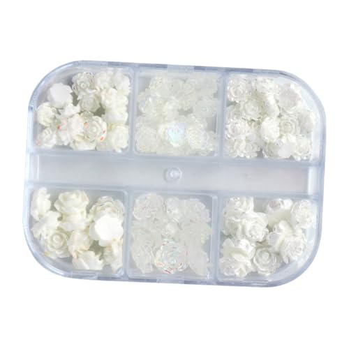 BESTYASH 1 Schachtel Nagelblumen Charms aus Harz Camellia Dekoration für Diy Nagelkunst Teiliges für Fingernägel und Zehennägel Vielseitig Einsetzbar für Handwerk und Scrapbooking BESTYASH 1 Schachtel Nagelblumen Charms aus Harz Camellia Dekoration für Diy Nagelkunst Teiliges für Fingernägel und Zehennägel Vielseitig Einsetzbar für Handwerk und Scrapbooking von BESTYASH
