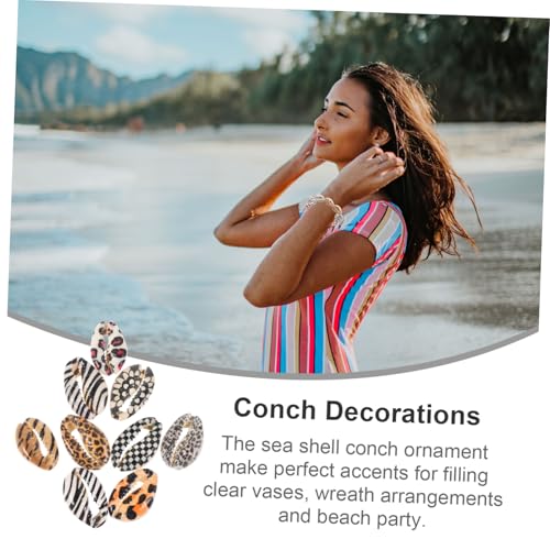 BESTYASH 1 Schachtel Natürliche Muschelperlen für DIY Dekorationen Bunte Conch Schmucksteine Vielseitige Bastel Fischbecken deko Lebendige Meeresmotiv Accessoires für Wohnraum und Handwerk BESTYASH 1 Schachtel Natürliche Muschelperlen für DIY Dekorationen Bunte Conch Schmucksteine Vielseitige Bastel Fischbecken deko Lebendige Meeresmotiv Accessoires für Wohnraum und Handwerk von BESTYASH