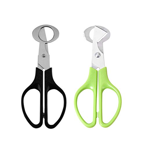 BESTONZON 2 Stück Edelstahl Wachteleierschere Schere Taubenei-Knacker Öffner Zigarrenschneider Werkzeug für Zuhause Küche BESTONZON 2 Stück Edelstahl Wachteleierschere Schere Taubenei-Knacker Öffner Zigarrenschneider Werkzeug für Zuhause Küche von BESTonZON