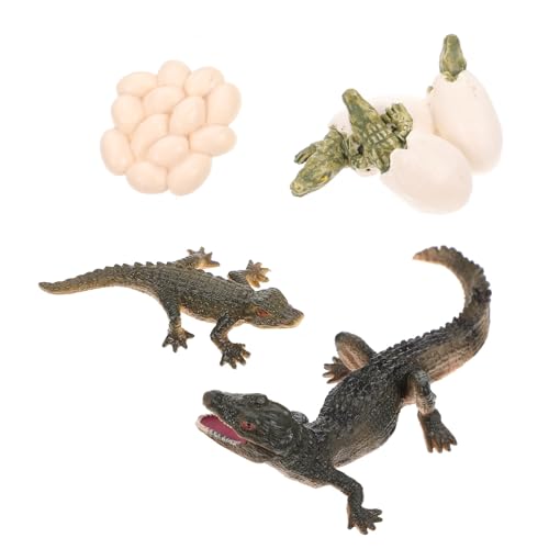 BESTonZON 1 Satz Modell des Wachstumszyklus belohnung Kinder kindergeburtstags mitgebsel Wachstumszyklusfigur eines Krokodils Spielzeug-Alligatoren für Statue Tiere Krokodil-Wachstumsmodell von BESTonZON