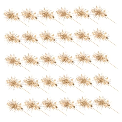 BESTonZON 100 Stück Glitzernde Cake Toppers Geburtstagstorte Party Dekorationen Lametta Cupcake Picks Dessert Zubehör für Festliche Feiern Weihnachten Geburtstagskuchen BESTonZON 100 Stück Glitzernde Cake Toppers Geburtstagstorte Party Dekorationen Lametta Cupcake Picks Dessert Zubehör für Festliche Feiern Weihnachten Geburtstagskuchen von BESTonZON