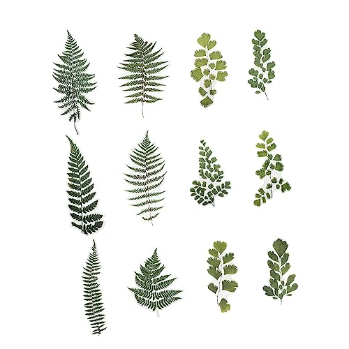 BESTonZON 12 Blätter Aufkleber Scrapbook scheckheft stickern stickbilder die bescherung notizbuch dekoring ziernieten kladden schenken eincremehilfe Tagebuch Etiketten das Haustier Green BESTonZON 12 Blätter Aufkleber Scrapbook scheckheft stickern stickbilder die bescherung notizbuch dekoring ziernieten kladden schenken eincremehilfe Tagebuch Etiketten das Haustier Green von BESTonZON