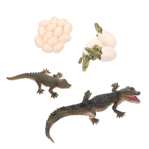 BESTonZON 2 Sätze Modell des Wachstumszyklus belohnung Kinder kindergeburtstags mitgebsel Krokodilspielzeug Lernspielzeug für Kinder Statue Tier Krokodil-Wachstumszyklus-Abbildung Puzzle von BESTonZON