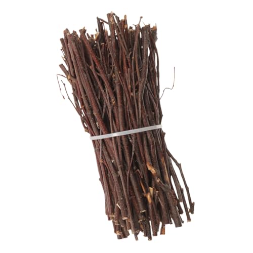 BESTonZON Holzstäbchen für Handarbeiten Natürliche Birkenäste Lange Bastelmaterialien für Kreative Diy Projekte für Hochzeits und Wohnungsdekoration BESTonZON Holzstäbchen für Handarbeiten Natürliche Birkenäste Lange Bastelmaterialien für Kreative Diy Projekte für Hochzeits und Wohnungsdekoration von BESTonZON