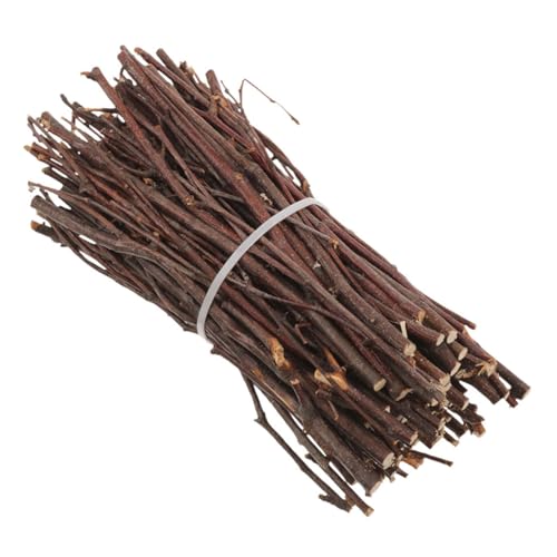 BESTonZON Natürliche Holzstäbchen für Diy Bastelprojekte Lange Zweige für Vasen Arrangements und Weihnachtsdekoration für Kreative Bastler und Anfänger BESTonZON Natürliche Holzstäbchen für Diy Bastelprojekte Lange Zweige für Vasen Arrangements und Weihnachtsdekoration für Kreative Bastler und Anfänger von BESTonZON
