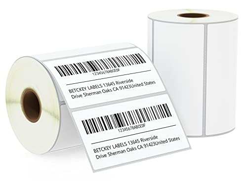 BETCKEY - 102mm x 51mm(4 in x 2 in) Perforierte Barcode/Versand/Mehrzweck Thermoetiketten Kompatibel mit Zebra und weiteren Druckern [2 Rollen/1500 Etiketten] von BETCKEY