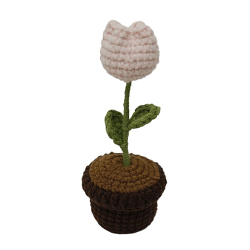 BFANGLC Kleine Häkelblume Topfpflanze gestrickte Herzform Blume in Vasen Ornament für Valentinstag Hochzeit Dekoration BFANGLC Kleine Häkelblume Topfpflanze gestrickte Herzform Blume in Vasen Ornament für Valentinstag Hochzeit Dekoration von BFANGLC
