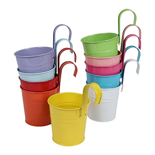 10 Stück hängende Eisen, kleine Sukkulenten, Süßigkeiten, Snacks, Organisation für Familientreffen, Gastgeschenke 10 Stück hängende Eisen, kleine Sukkulenten, Süßigkeiten, Snacks, Organisation für Familientreffen, Gastgeschenke von BFLKY