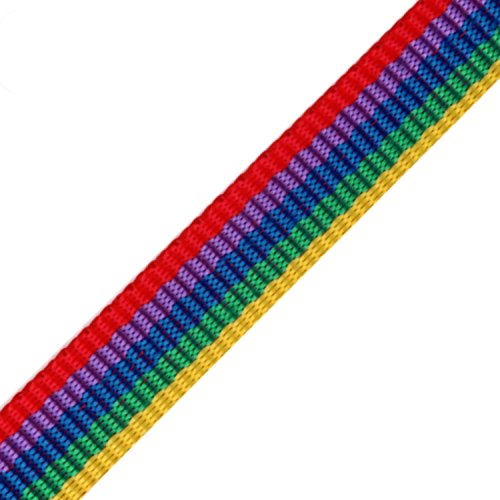 BIG-SAM - 10545 - Gurtband aus Polypropylen - 15mm Breite - 1, 5 oder 10 Meter - Auswahl aus 16 Farben (1 Meter, Multicolored (90)) von BIG-SAM