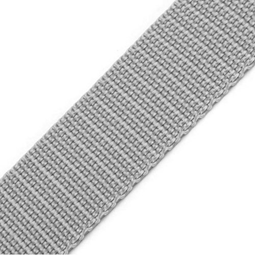 BIG-SAM - 24mm Gurtband | aus Polypropylen | 1, 5 oder 10 Meter | für Schnallen mit einer Breite von 24mm (innen) (Hellgrau, 1) von BIG-SAM