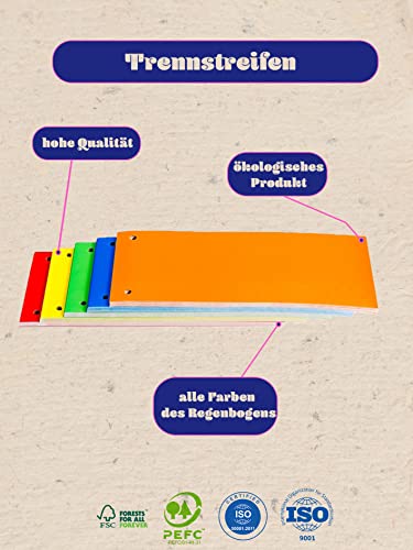 Original BIGO 100-Pack Karton-Trennstreifen, 100 Stück, 5 Farben: 20 Stück je Farbe, 240 x 105 mm, gelocht, 250g/m², zum Sortieren und Trennen von Dokumenten bis DIN-A4-Format von Generic