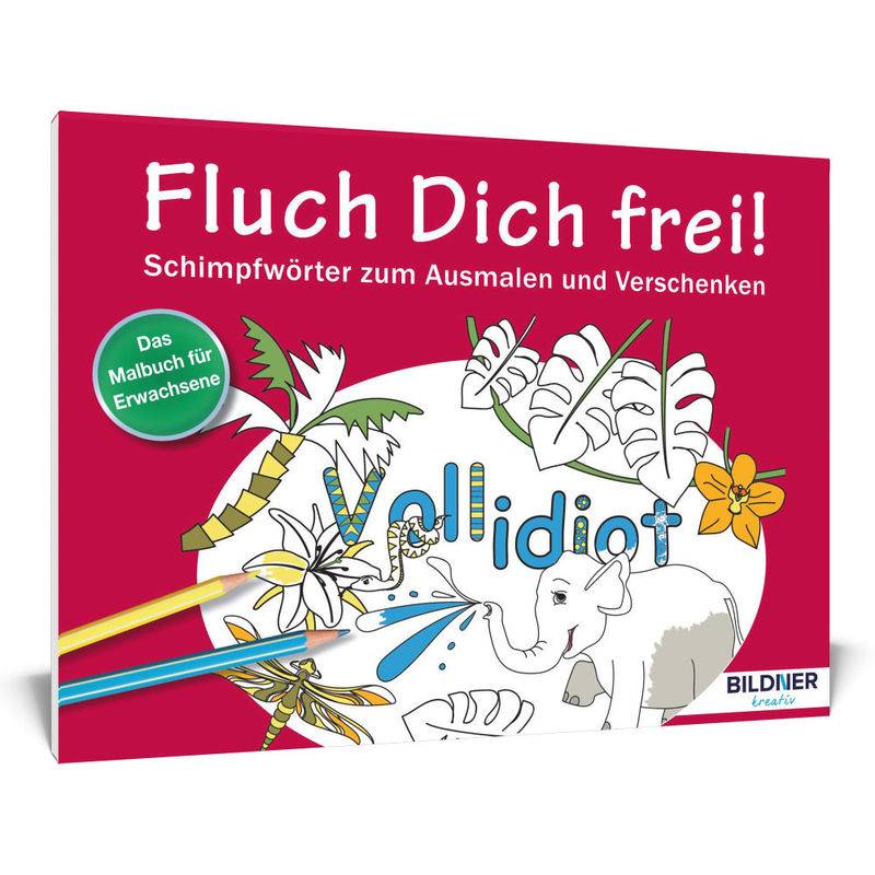 Fluch Dich Frei! Vollidiot, Kartoniert (TB) von BILDNER Verlag