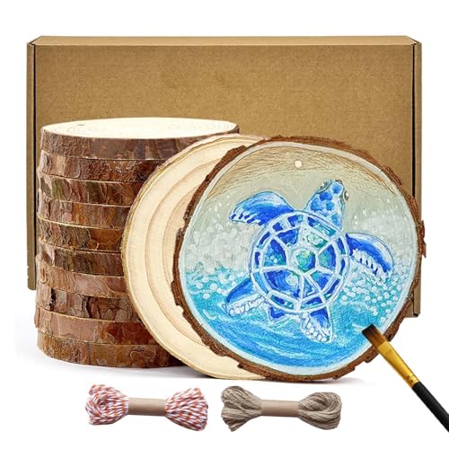 BIOGRAT Holzscheiben 10cm mit Loch, 12 Stücke (10-11 cm Durchmesser 1 cm Dicke) Baumscheiben zum Basteln mit 2 Schnüren für Weihnachtsdeko, Kunst, Handwerk, DIY von BIOGRAT