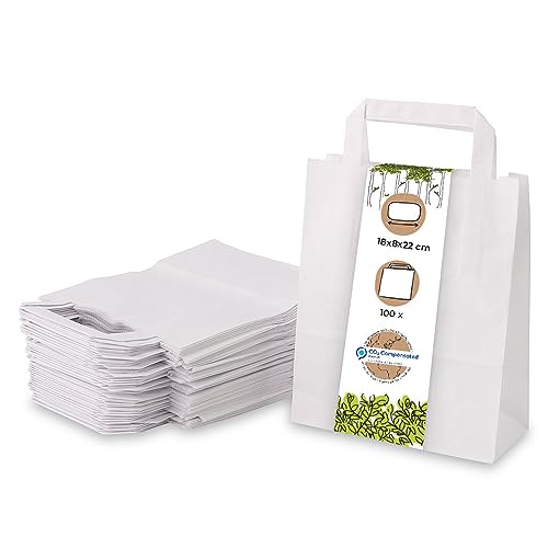 BIOZOYG weiße Papiertüten mit Griff I umweltschonende Papiertüte aus Kraftpapier I Geschenktüte biologisch abbaubar, Tüten kompostierbar I 100 x weiße Papiertragetaschen mit Henkel 18x8x22 cm von BIOZOYG