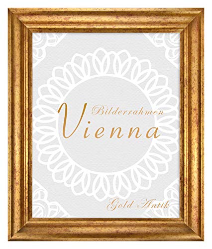 BIRAPA Bilderrahmen gold Vienna Rahmen 21x26 cm - Bilderrahmen vintage in Gold Antik, Bilderrahmen Holz mit Zierleiste innen und außen, Fotorahmen, Holzrahmen von BIRAPA