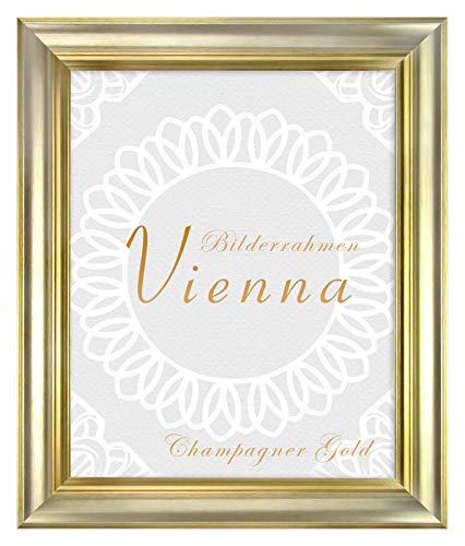 BIRAPA Bilderrahmen gold Vienna Rahmen 24x32 cm - Bilderrahmen vintage in Champagner Gold, Bilderrahmen Holz mit Zierleiste innen und außen, Fotorahmen, Holzrahmen von BIRAPA