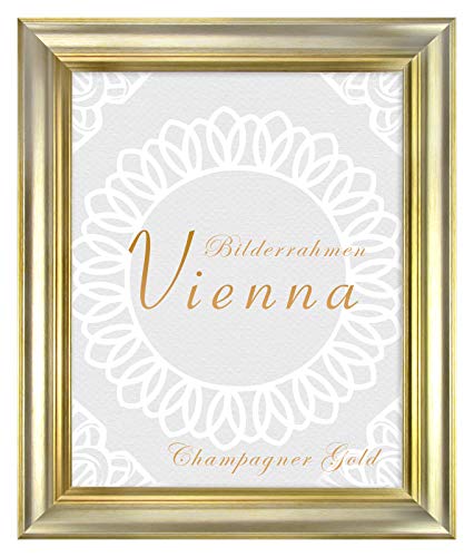 BIRAPA Bilderrahmen gold Vienna Rahmen 50x50 cm - Bilderrahmen vintage in Champagner Gold, Bilderrahmen Holz mit Zierleiste innen und außen, Fotorahmen, Holzrahmen von BIRAPA