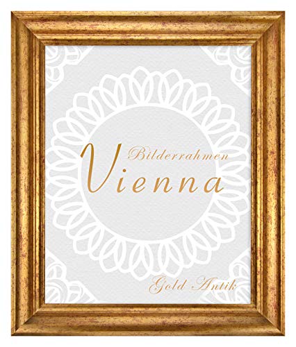 BIRAPA Bilderrahmen gold Vienna Rahmen 60x80 cm - Bilderrahmen vintage in Gold Antik, Bilderrahmen Holz mit Zierleiste innen und außen, Fotorahmen, Holzrahmen BIRAPA Bilderrahmen gold Vienna Rahmen 60x80 cm - Bilderrahmen vintage in Gold Antik, Bilderrahmen Holz mit Zierleiste innen und außen, Fotorahmen, Holzrahmen von BIRAPA