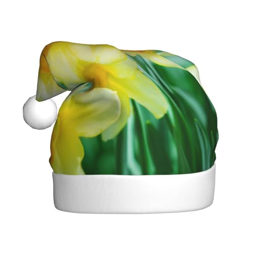 BJNGHKLN Nikolausmütze mit Narzissen-Blumendruck, für Erwachsene, festliche Weihnachtsfeier, Weihnachtsdekoration, Hut BJNGHKLN Nikolausmütze mit Narzissen-Blumendruck, für Erwachsene, festliche Weihnachtsfeier, Weihnachtsdekoration, Hut von BJNGHKLN