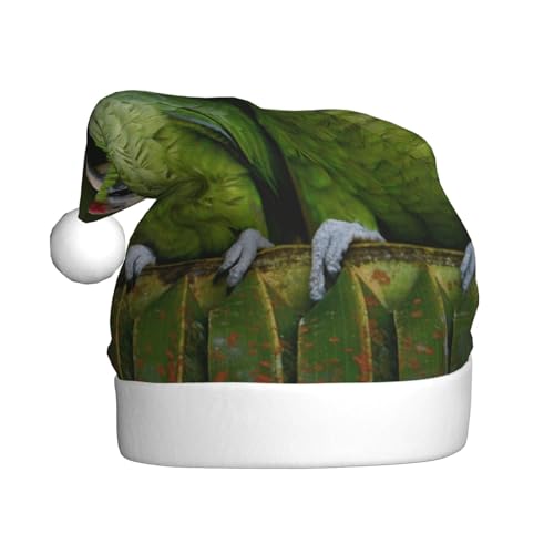 BJNGHKLN Weihnachtsmütze mit zwei Papageien auf grüner Palme, Weihnachtsmannmütze für Erwachsene, festliche Weihnachtsfeier, Weihnachtsdekoration, Hut BJNGHKLN Weihnachtsmütze mit zwei Papageien auf grüner Palme, Weihnachtsmannmütze für Erwachsene, festliche Weihnachtsfeier, Weihnachtsdekoration, Hut von BJNGHKLN