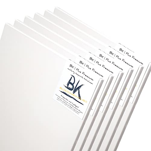 6 B.K. PLUS LEINWÄNDE AUF KEILRAHMEN 70x120 cm | Premium Malgrund, malfertig, 100% Baumwolle von BK BILDERRAHMEN KOLMER