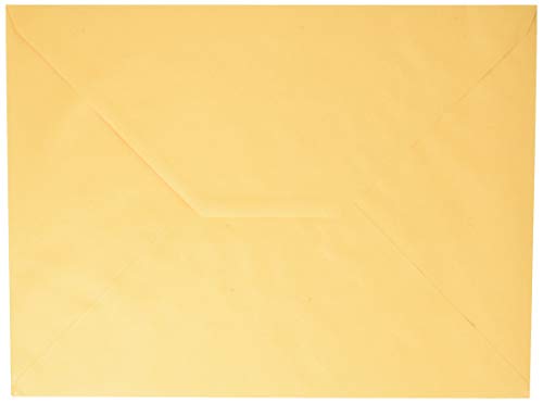 Blasetti Verpackung Buste, Gialle, 29 x 40 cm, 100 Gr, Einheitsgröße von Blasetti
