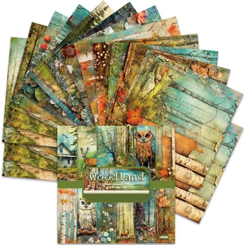 Scrapbook-Papier, 15,2 x 15,2 cm, 24 Blatt, säurefrei, Vintage-Scrapbooking-Papier, 160 g/m², mit 12 verschiedenen Designs, einseitiger Wald-Eulen-Druck für Kartenherstellung, Junk-Tagebuch, Scrapbook-Papier, 15,2 x 15,2 cm, 24 Blatt, säurefrei, Vintage-Scrapbooking-Papier, 160 g/m², mit 12 verschiedenen Designs, einseitiger Wald-Eulen-Druck für Kartenherstellung, Junk-Tagebuch, von BLEDS