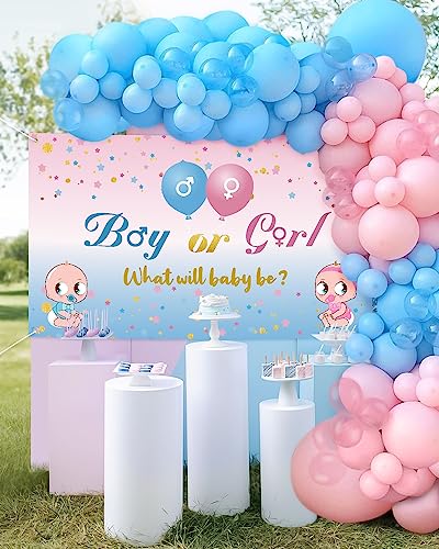 BLOOMWIN Gender Reveal Party Deko - Babyparty Boy or Girl Dekoration Ballon Girlande Rosa Blau Pastel und Hintergrund - Junge oder Mädchen Baby Geschlecht Verkünden von BLOOMWIN