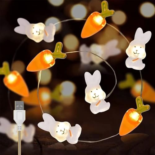 BNOYONERAS Lichterkette Ostern, 3M 30LED Osterlichterkette mit USB, Lichterkette Karotten Osterhasen, Osterlichter, Osterbeleuchtung für Osterdekoration Innen Außen Tischdeko Balkon Garten von BNOYONERAS
