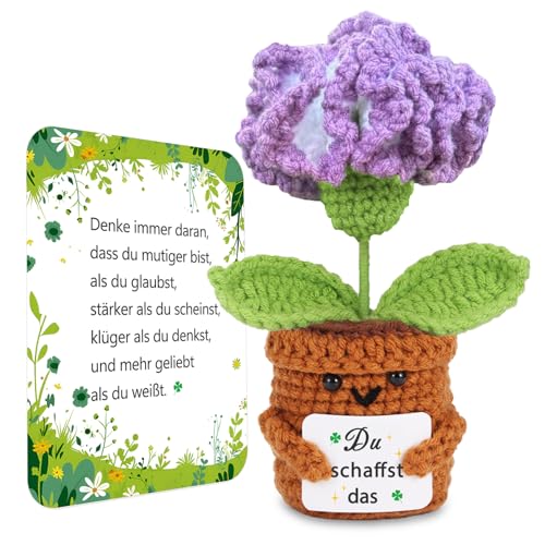 BOAITE Kleiner Glücksbringer Gestrickte Vergissmeinnicht Ermutigende Geschenke, Positive Kartoffel Deutsch Ersatz, Geschenke zur Einschulung (Nelken) von BOAITE