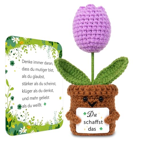 BOAITE Kleiner Glücksbringer Gestrickte Vergissmeinnicht Ermutigende Geschenke, Positive Kartoffel Deutsch Ersatz, Geschenke zur Einschulung (Tulpen) von BOAITE