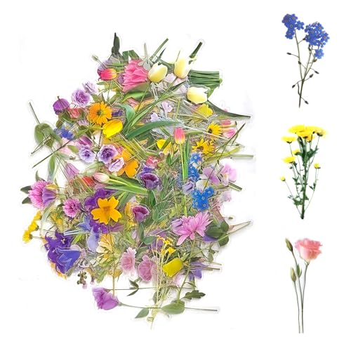 BOBOAPCK 160 Blatt Dekorative Blumenaufkleber, ästhetische Aufkleber, Scrapbooking-Materialien, ästhetische Vintage-Aufkleber für Kunsthandwerk, Scrapbooking, Journaling, Notebooking und Dekorationen BOBOAPCK 160 Blatt Dekorative Blumenaufkleber, ästhetische Aufkleber, Scrapbooking-Materialien, ästhetische Vintage-Aufkleber für Kunsthandwerk, Scrapbooking, Journaling, Notebooking und Dekorationen von BOBOPACK